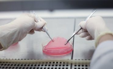 Новые нормативные правовые акты Минздрава РФ о биомедицинских клеточных продуктах