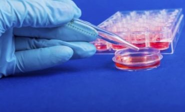 Минздрав России внес проект об административной ответственности за нарушения в сфере обращения биомедицинских клеточных продуктов