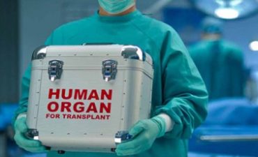 Утвержден новый перечень медицинских организаций, которые могут осуществлять трансплантацию