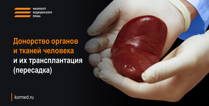 Донорство органов и тканей человека и их трансплантация (пересадка)