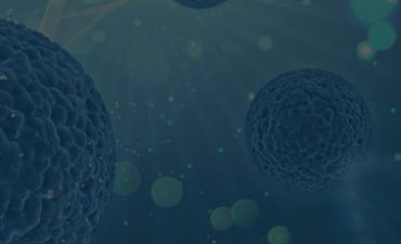 Научно-практическая школа «Рак мочевого пузыря»: медицина, финансы, право