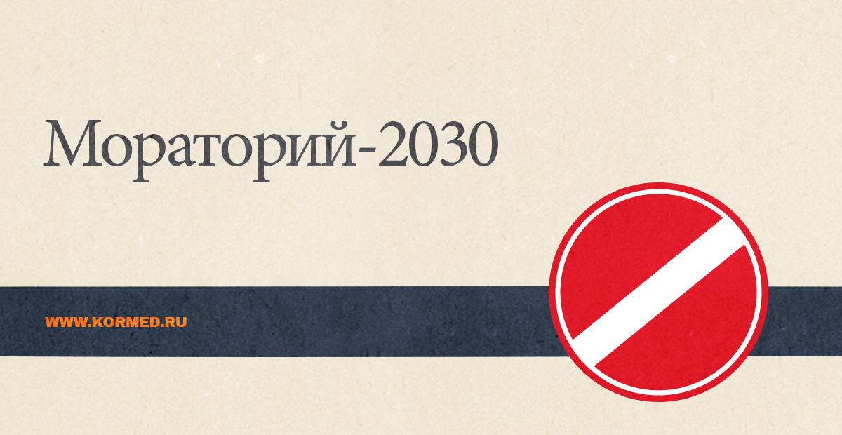 Мораторий на проверки в 2024